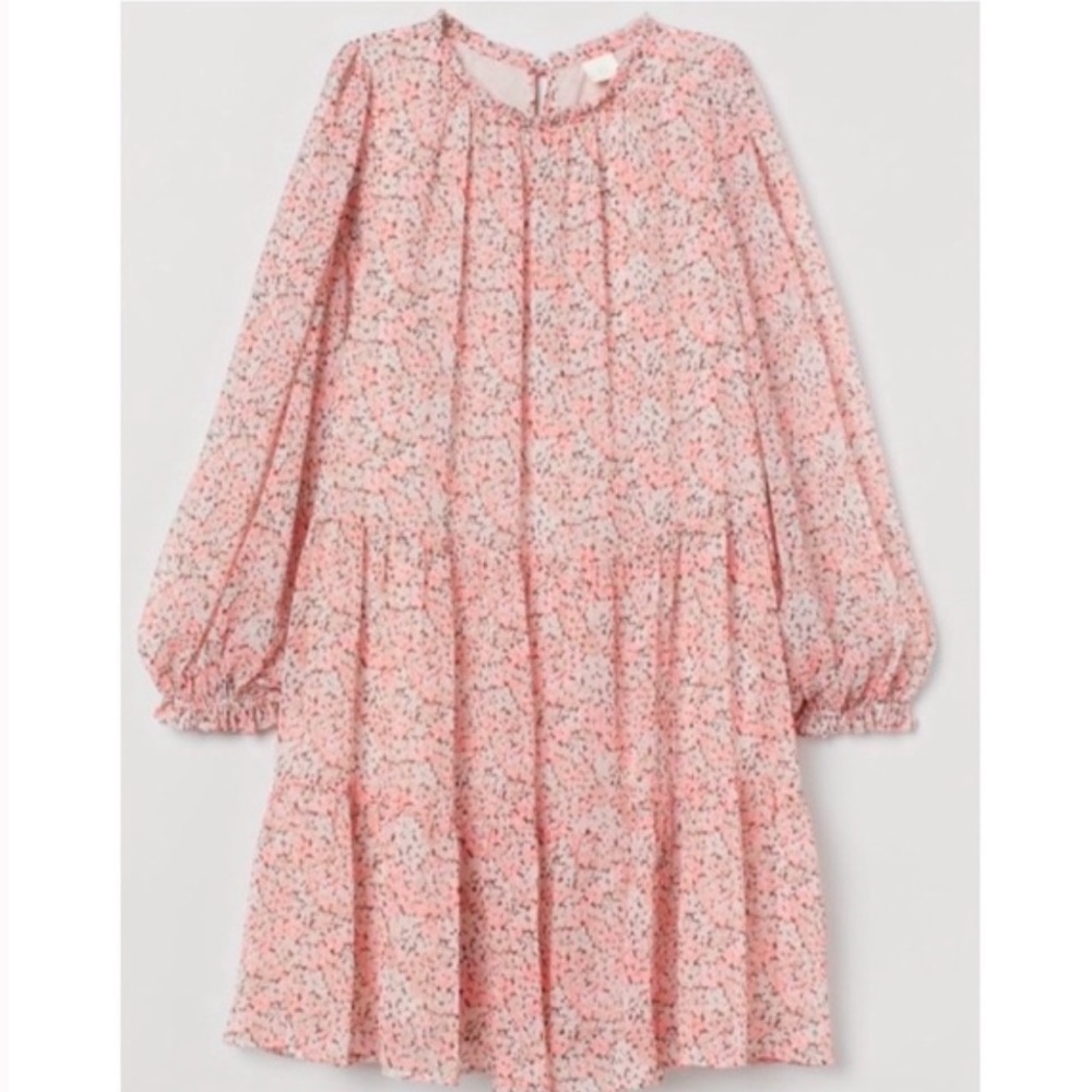 Pink Boho Floral H&M Chiffon Dress